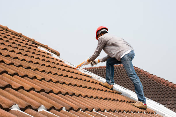 Best Emergency Roof Repair Services  in Balm, FL