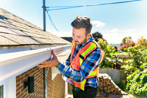 Best Gutter Replacement  in Balm, FL