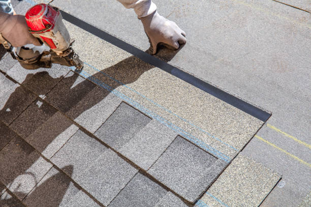 Best Green or Eco-Friendly Roofing Solutions  in Balm, FL